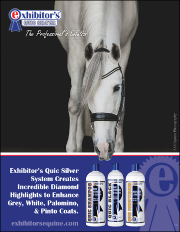 Straight Arrow Products Inc