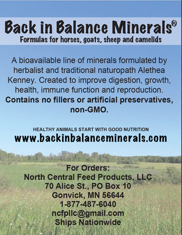 Back-in-Balance