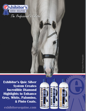 Straight Arrow Products Inc