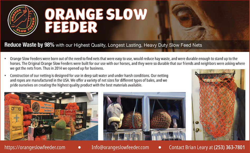 Orange Slow Feeder